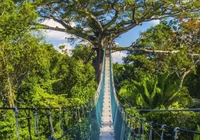 Connection from the Amazon to the Sublime Andes