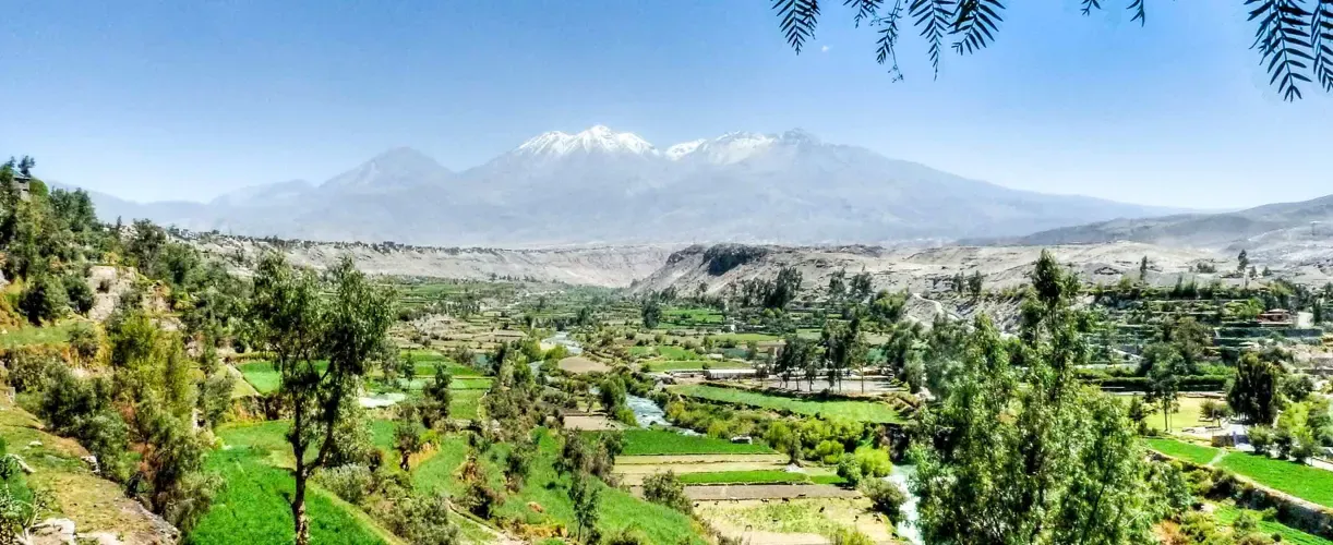 Arequipa: la campina