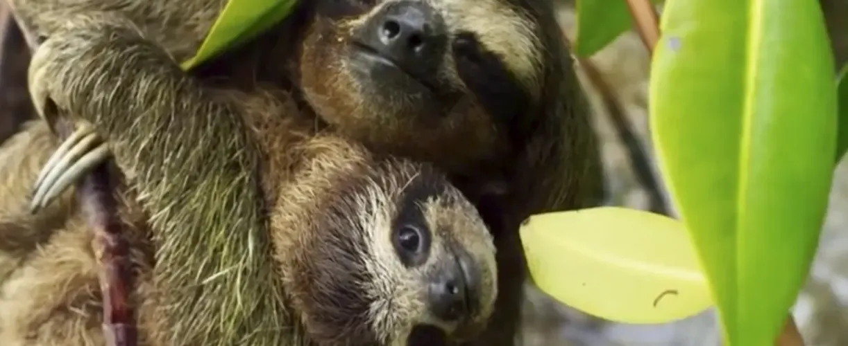 Connection from the Amazon to the Sublime Andes travel experience 5