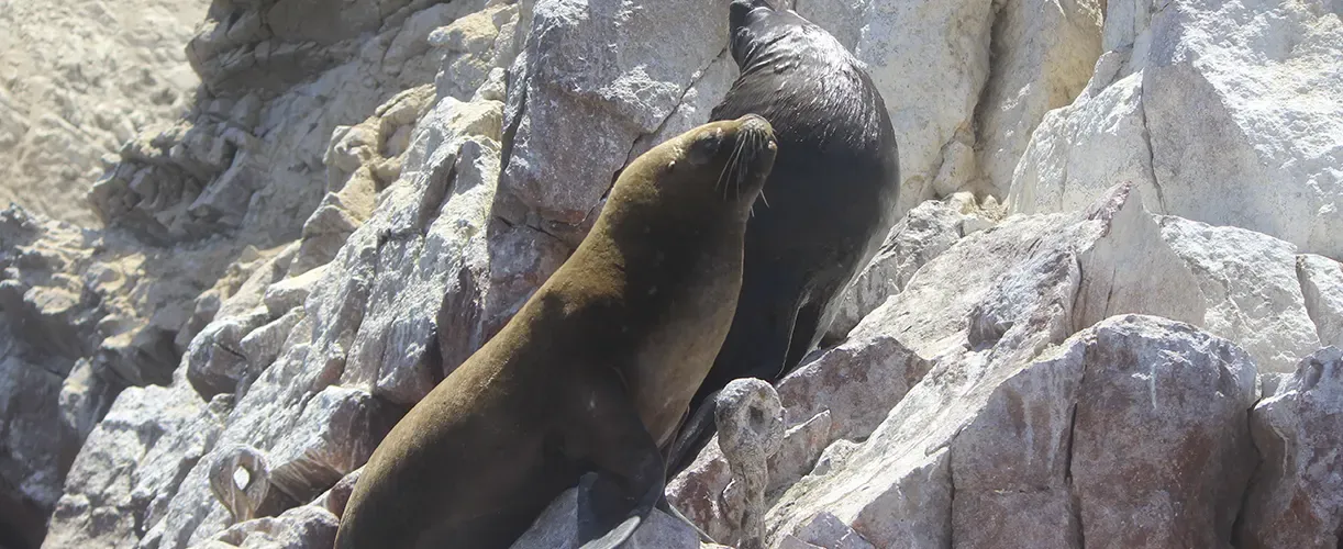 Hidden Gems in Peru travel experience 11