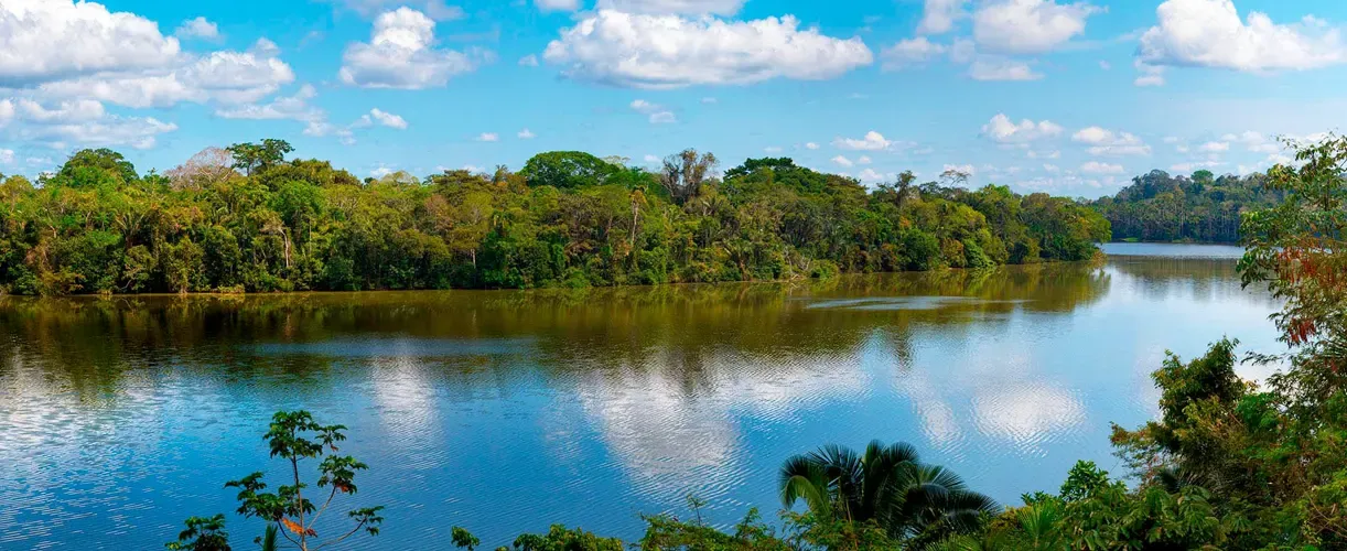 Madre De Dios: Tambopata