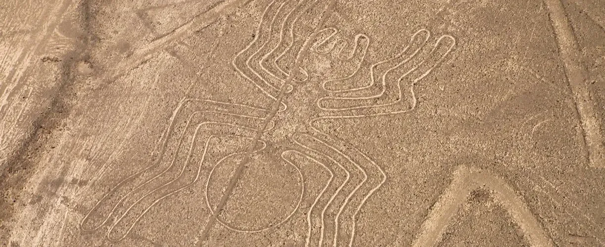 Paracas: lineas de nazca
